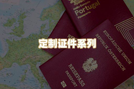 定制证件系列